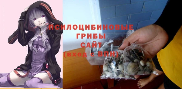 прущие грибы Алексин