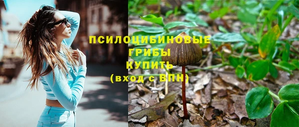 прущие грибы Алексин